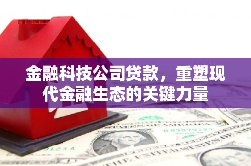 贵德金融科技公司贷款，重塑现代金融生态的关键力量