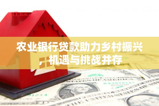 河南农业银行贷款助力乡村振兴，机遇与挑战并存