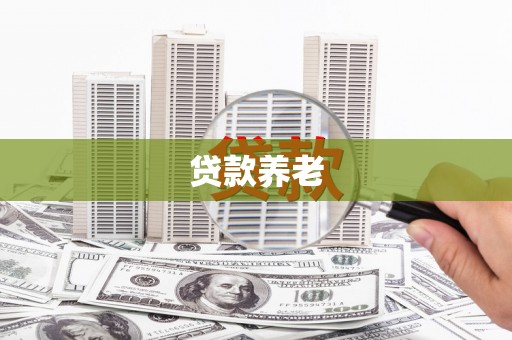 下城贷款养老