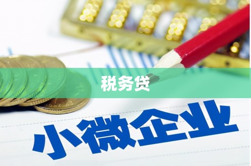 金东税务贷