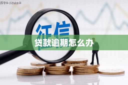 昌邑贷款逾期怎么办