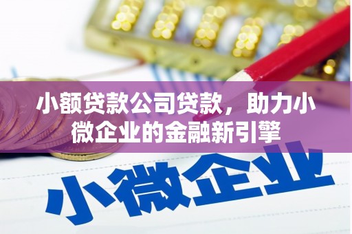 西畴小额贷款公司贷款，助力小微企业的金融新引擎