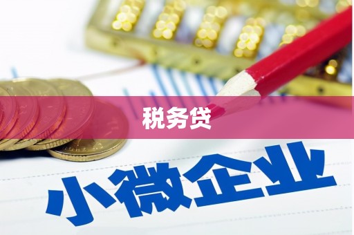 泸州税务贷