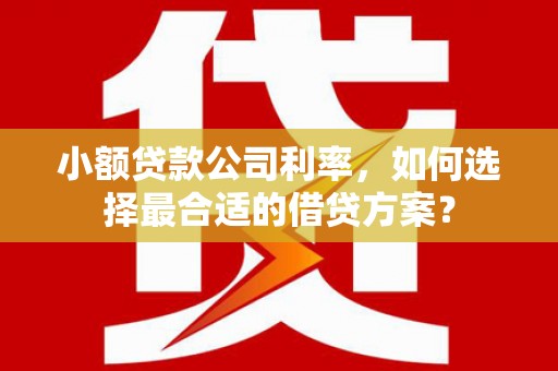 宝安小额贷款公司利率，如何选择最合适的借贷方案？