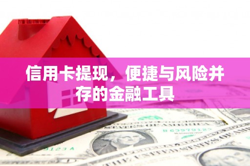 辰溪信用卡提现，便捷与风险并存的金融工具