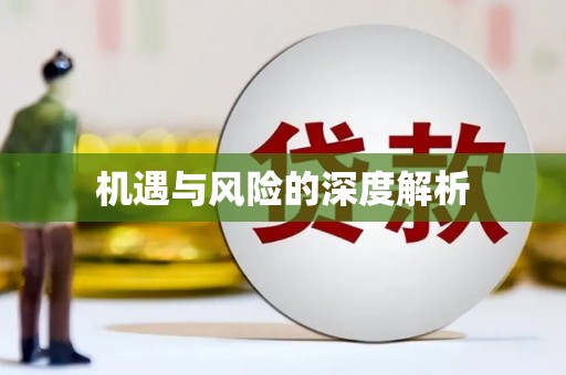 加查机遇与风险的深度解析