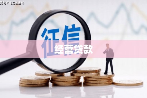 金州经营贷款