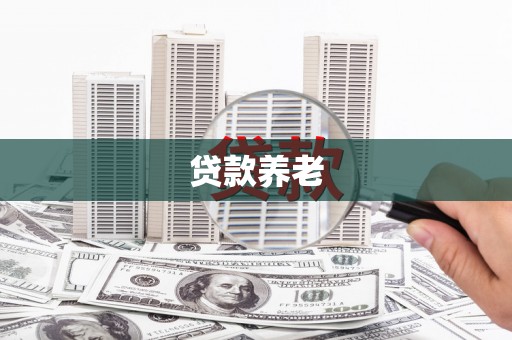 全椒贷款养老