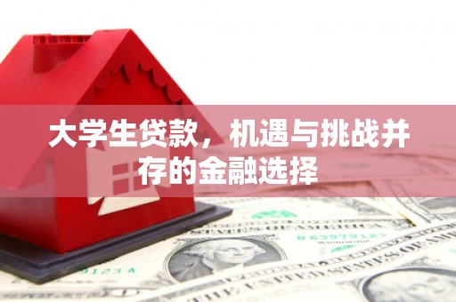柳南大学生贷款，机遇与挑战并存的金融选择