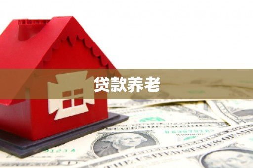 大化贷款养老
