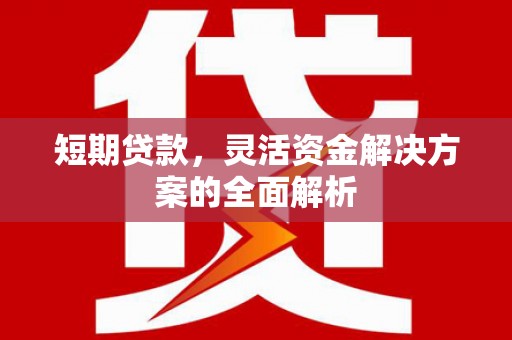 民乐短期贷款，灵活资金解决方案的全面解析