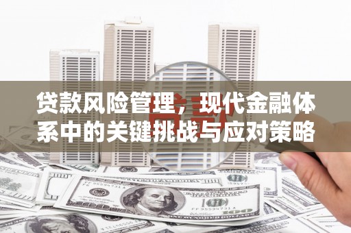 浠水贷款风险管理，现代金融体系中的关键挑战与应对策略