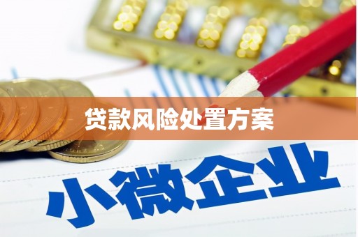 线西贷款风险处置方案