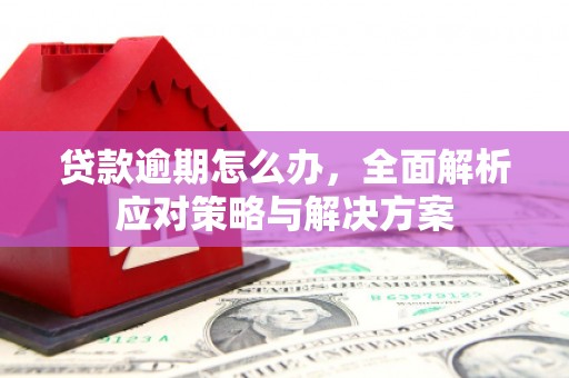 桥东贷款逾期怎么办，全面解析应对策略与解决方案
