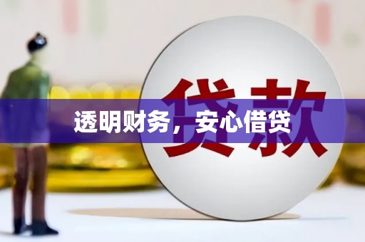 川汇透明财务，安心借贷