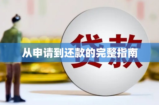 叶县从申请到还款的完整指南