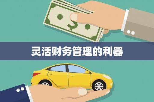 海伦灵活财务管理的利器