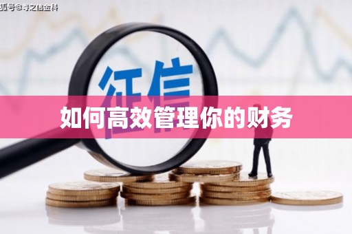 三亚如何高效管理你的财务