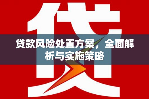 塔什库尔干塔吉克贷款风险处置方案，全面解析与实施策略